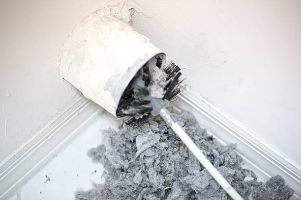 Best Professional Duct Cleaning Services  in Ligh, NE